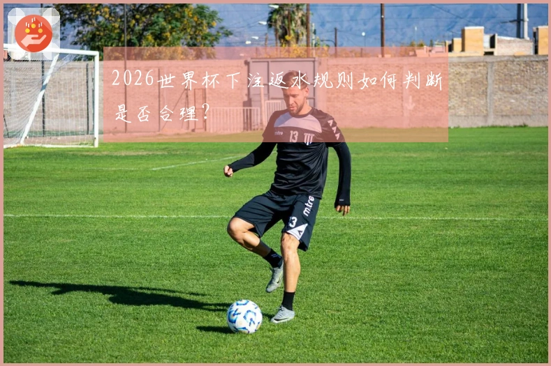 2026世界杯下注返水规则如何判断是否合理？