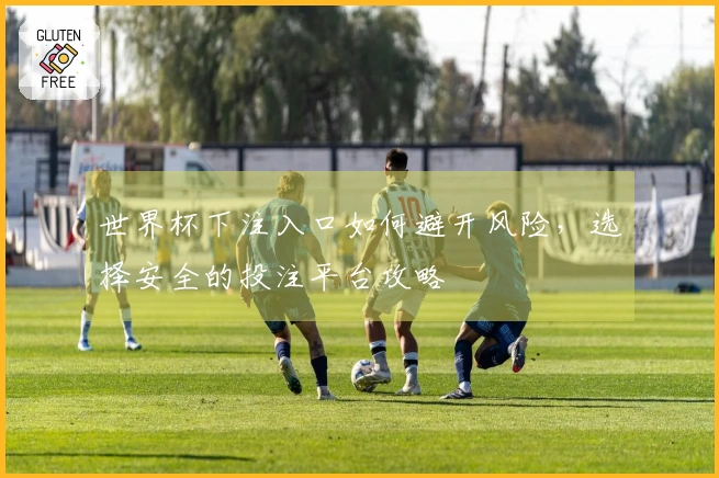 世界杯下注入口如何避开风险，选择安全的投注平台攻略