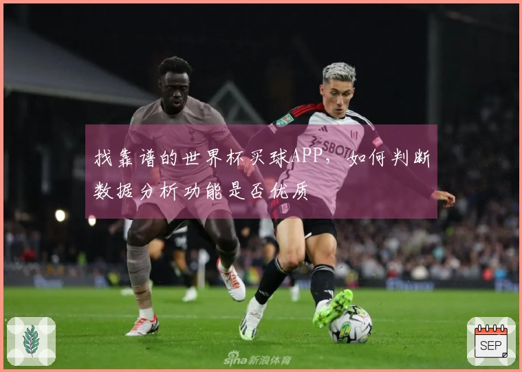 找靠谱的世界杯买球APP，如何判断数据分析功能是否优质