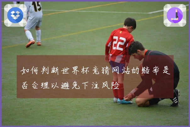 如何判断世界杯竞猜网站的赔率是否合理以避免下注风险