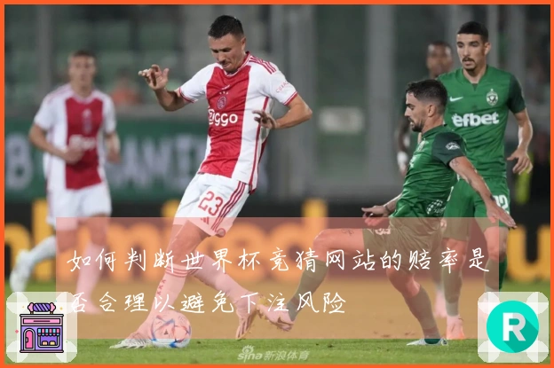 如何判断世界杯竞猜网站的赔率是否合理以避免下注风险